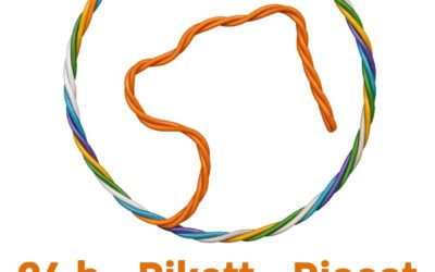 Pikett-Dienst ausserhalb der Bürozeiten