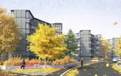 Ersatzneubau Buchholzstrasse Etappe I